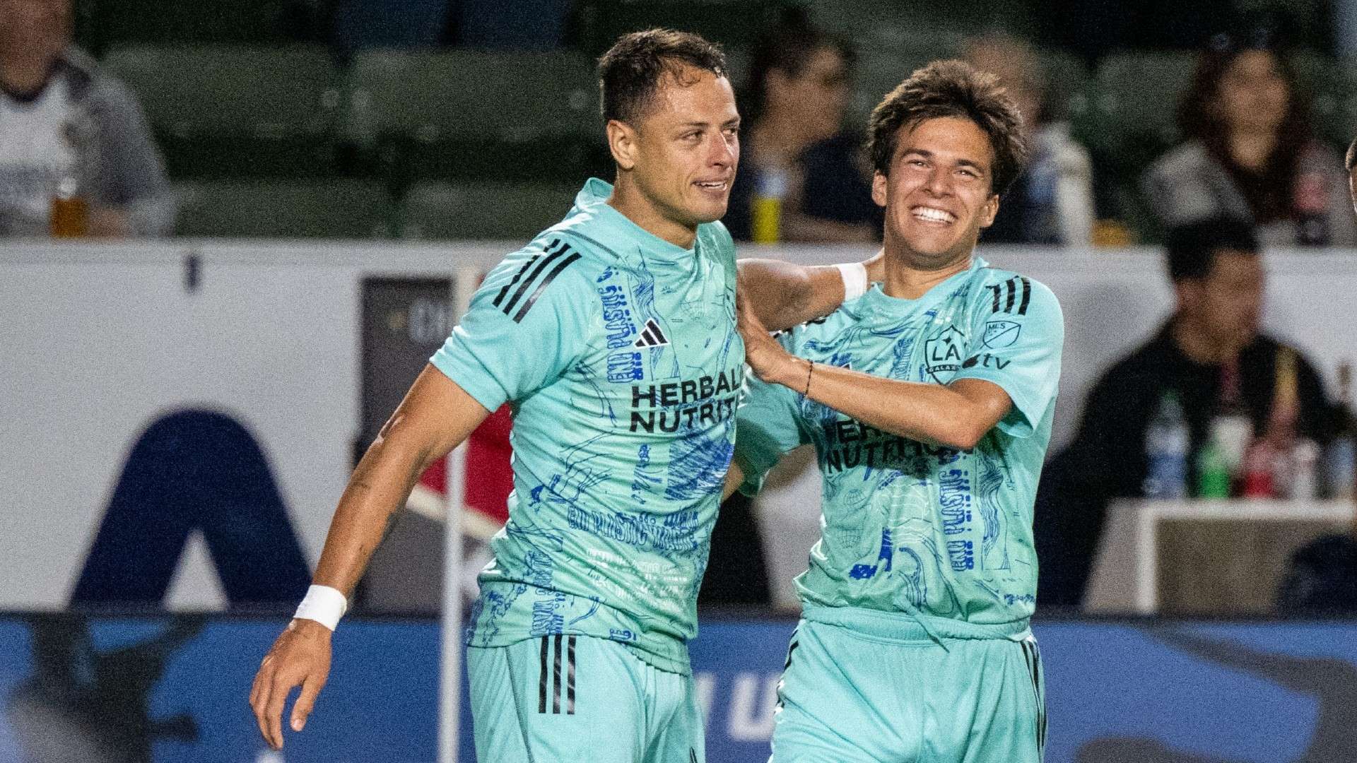 在这种复杂 在这种复杂